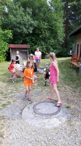 Sommer 2016 (6)